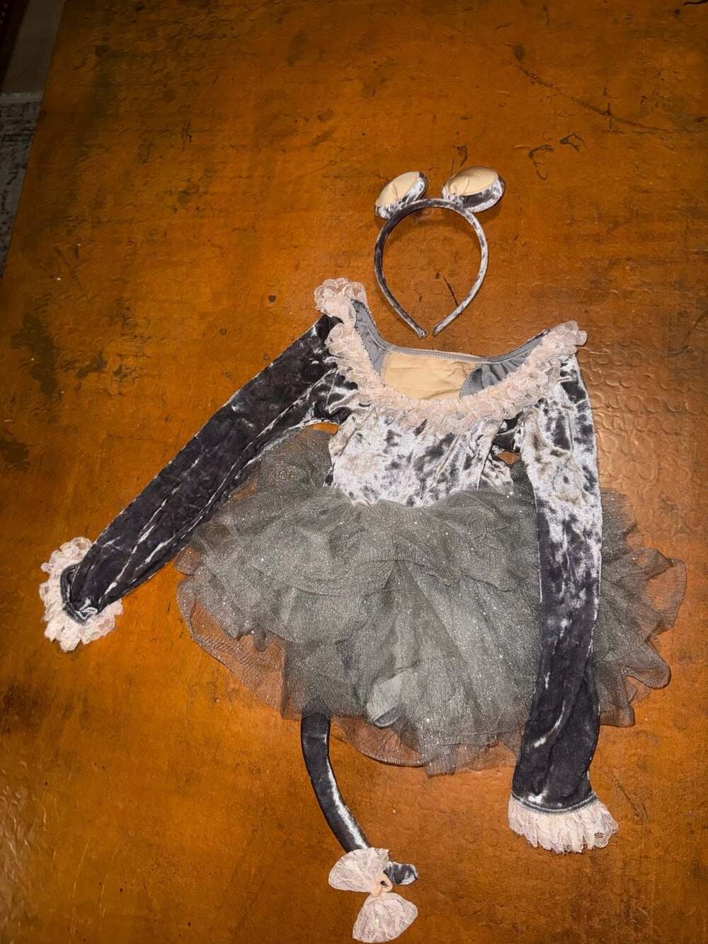 Revolution The Mouse's Song Dance Costume Size XSC Silver